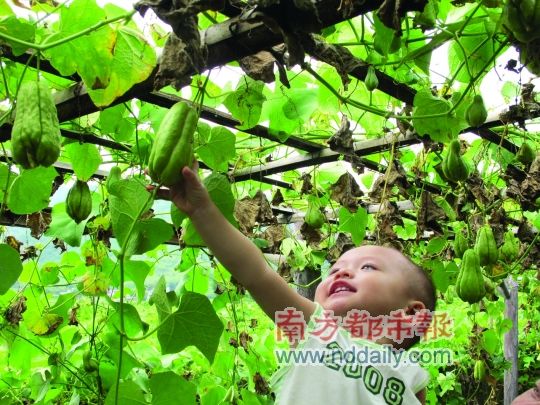 凱景酒店推特惠超值中秋團圓宴