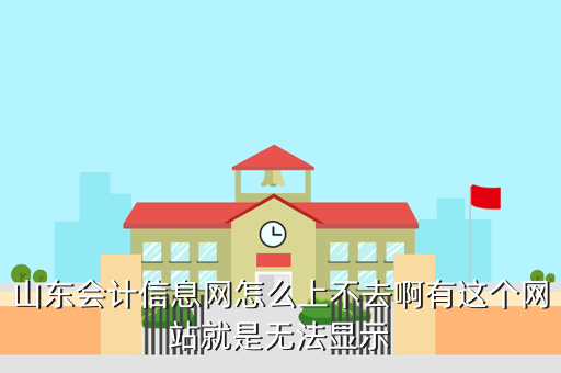 山東會計信息網怎么上不去啊有這個網站就是無法顯示