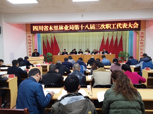 懷化洪江人事_懷化市政府網官網_懷化人事網