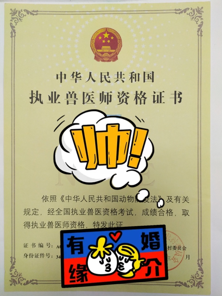 中國執業獸醫網_中國執業獸醫考試網_執業獸醫資格考試官網