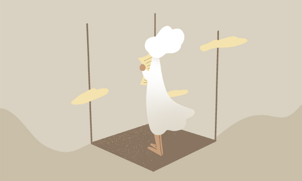 四級英語的評分標準 每道題分值明細