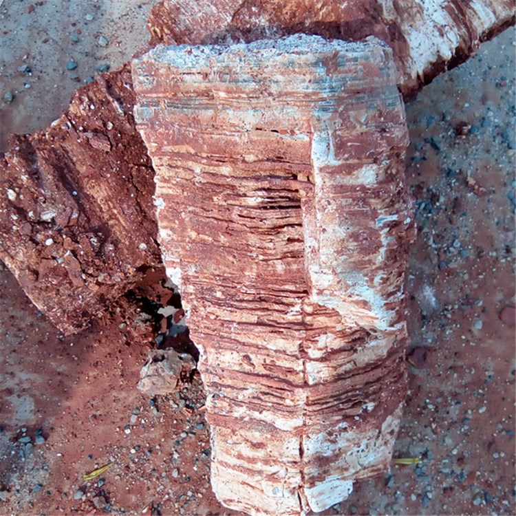 頁巖是什么巖_如何化精為氣化氣為神_頁巖分為中風化和什么巖