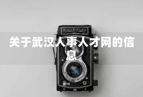 關(guān)于武漢人事人才網(wǎng)的信息