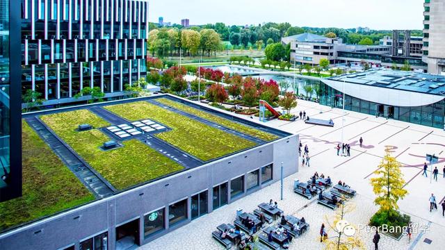 紐約城市大學(xué)約克學(xué)院_紐約大學(xué)商學(xué)院_紐約攝影學(xué)院教材下載