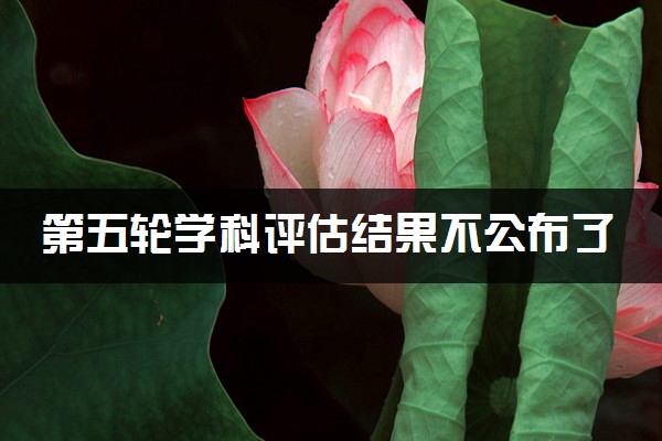 第三輪學科評估結 結果_學科評估 信息類學科_第四輪學科評估結果