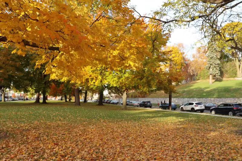 美國藝術留學作品培訓_美國藝術留學培訓_美國藝術留學