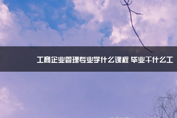 企業(yè)管理專業(yè)學什么_企業(yè)高管一般是學什么專業(yè)_企業(yè)管理層學什么專業(yè)