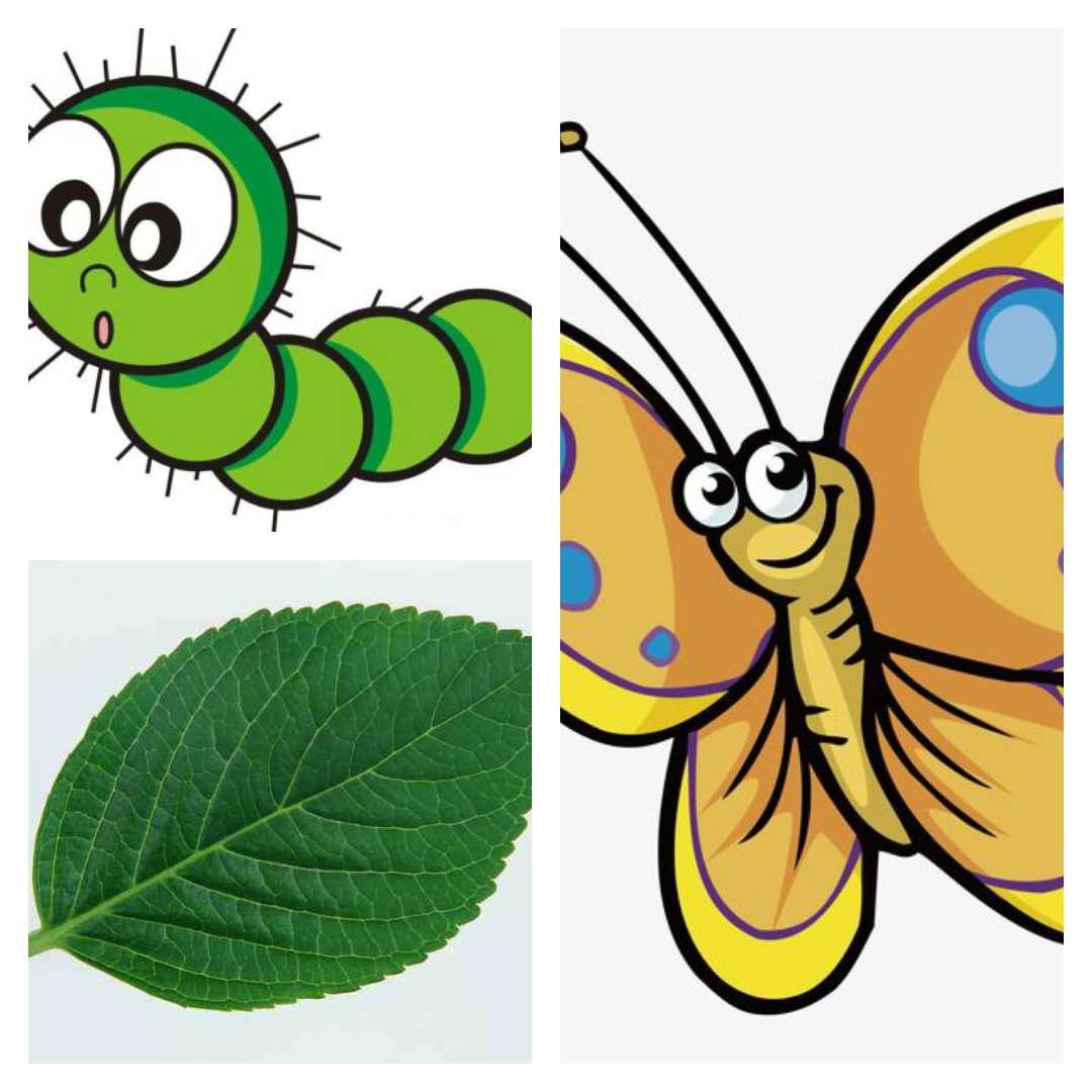 快樂的同桌拋繡球選同桌_同桌的你影評(píng)_同桌,同桌你真壞