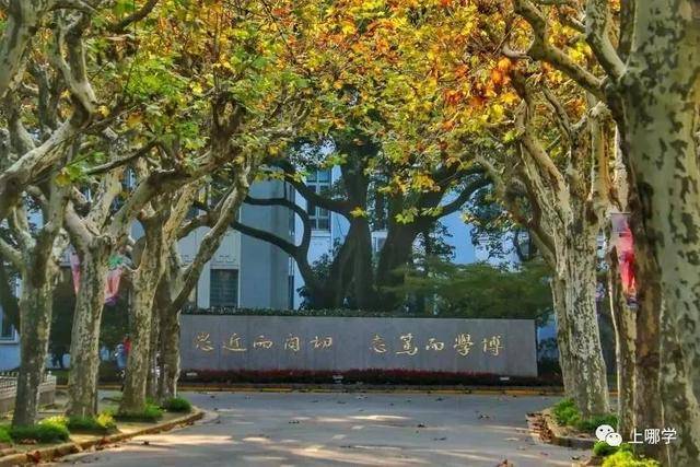 復旦附小全國排名_復旦大學附屬小學排名_復旦附小是第幾梯隊