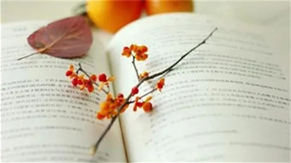 2023湖北省教師資格證認定_2021湖北教師證認定時間