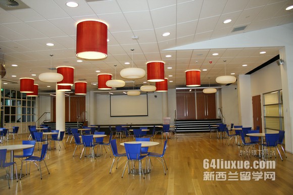 新西蘭汽車維修專業