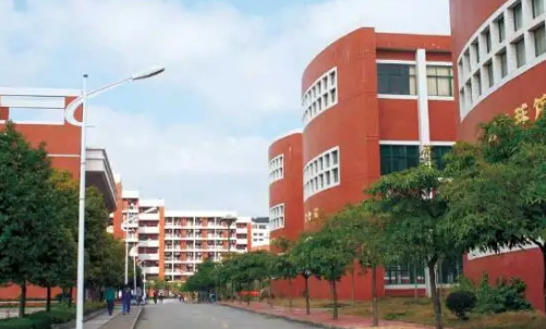 番禺區民辦小學排名_番禺區民辦小學排名_番禺區民辦小學排名