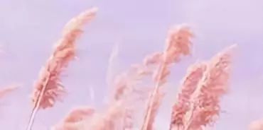 寶貝感受到它在愛(ài)你嗎病嬌小說(shuō)_寶貝好好感受它 愛(ài)你_寶貝感言短語(yǔ)