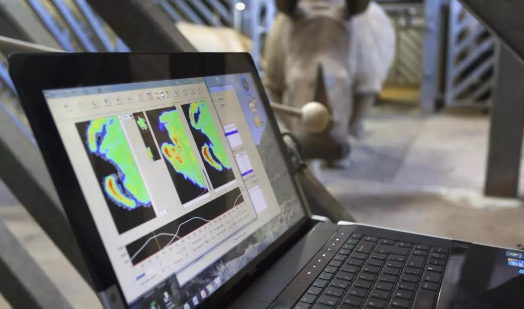 qs全球計算機專業大學排名_全球大學計算機cs排名榜_全球計算機cs專業排名