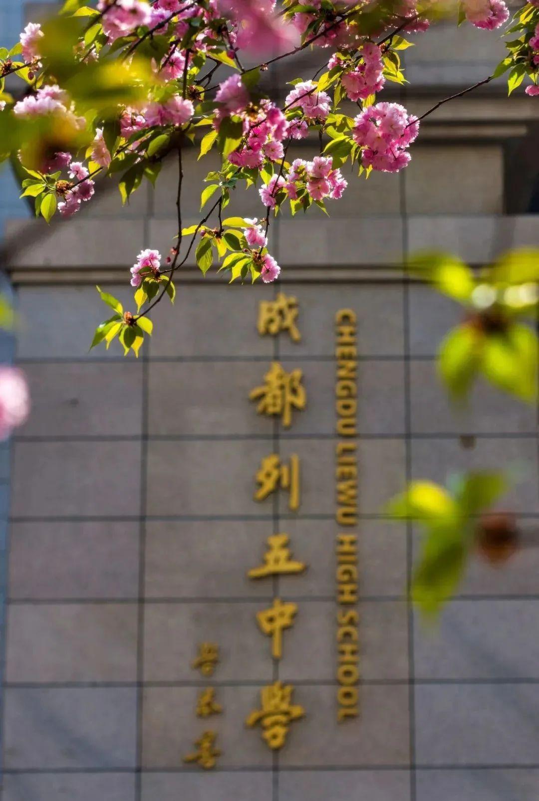 成都市成華區初中公立學校排名_成成初中部_成成中學劃片