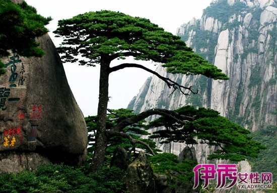 黃山望月天狗圖片欣賞_黃山天狗望月圖片_黃山天狗望月高清照片