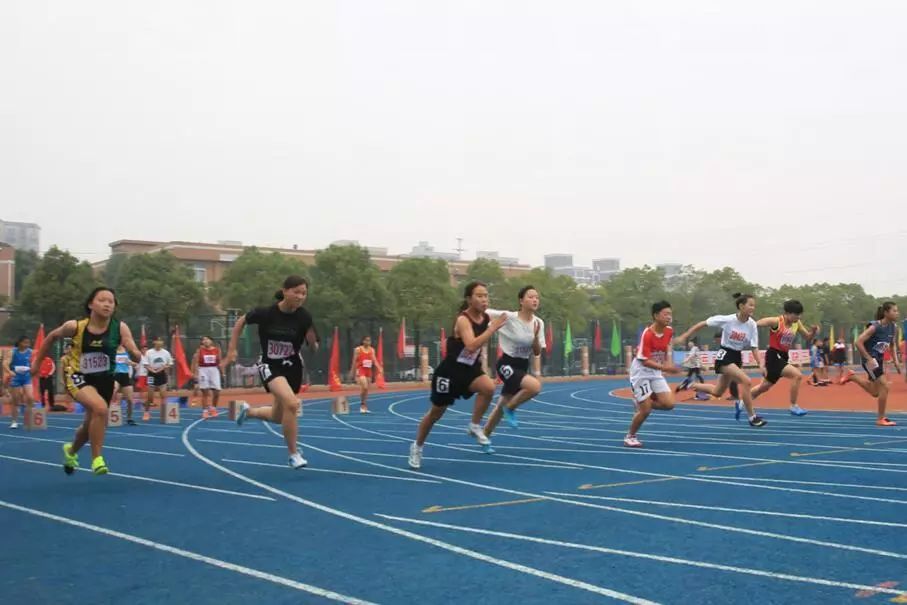 寧鄉一中重本率_寧鄉一中全國排名_寧鄉一中上線率