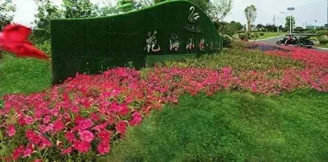 云渡古鎮在哪里_云附古渡口校區_云渡古城