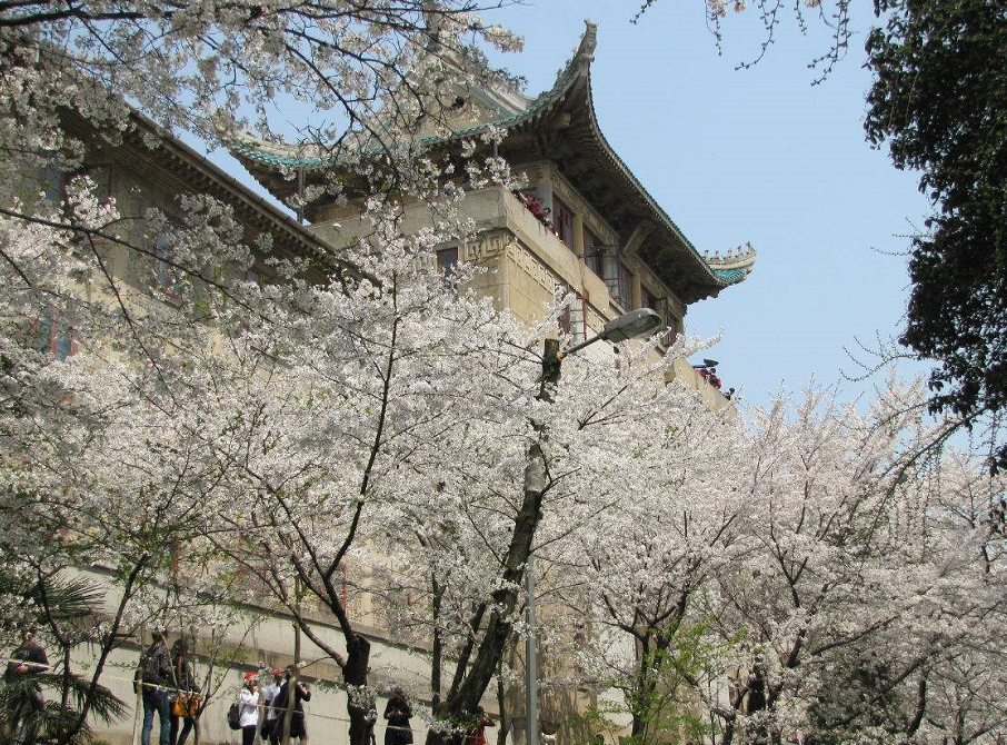武漢大學學費_武漢大學的學費_武漢大學每學期學費