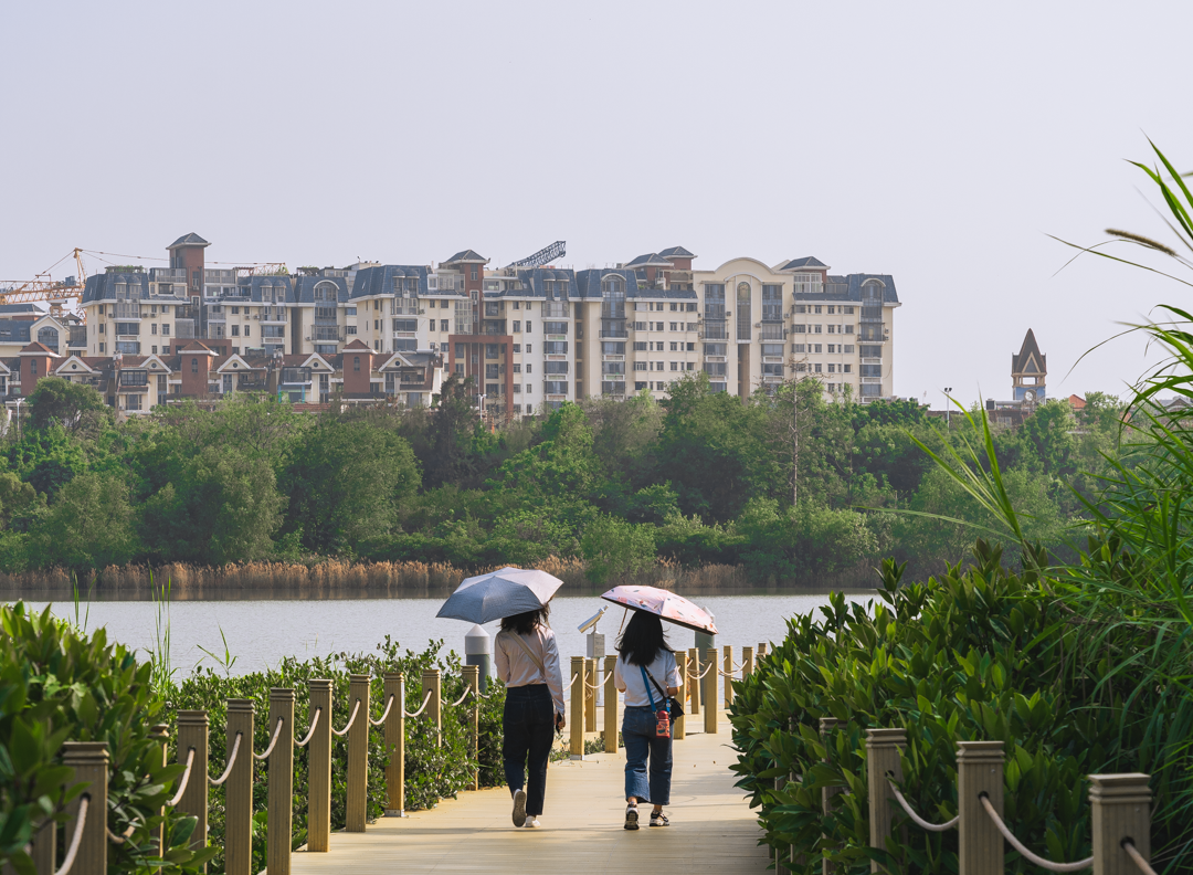 女大學生成中介銷冠:賣出上億豪宅_豪宅買賣中介_中介賣豪宅提成