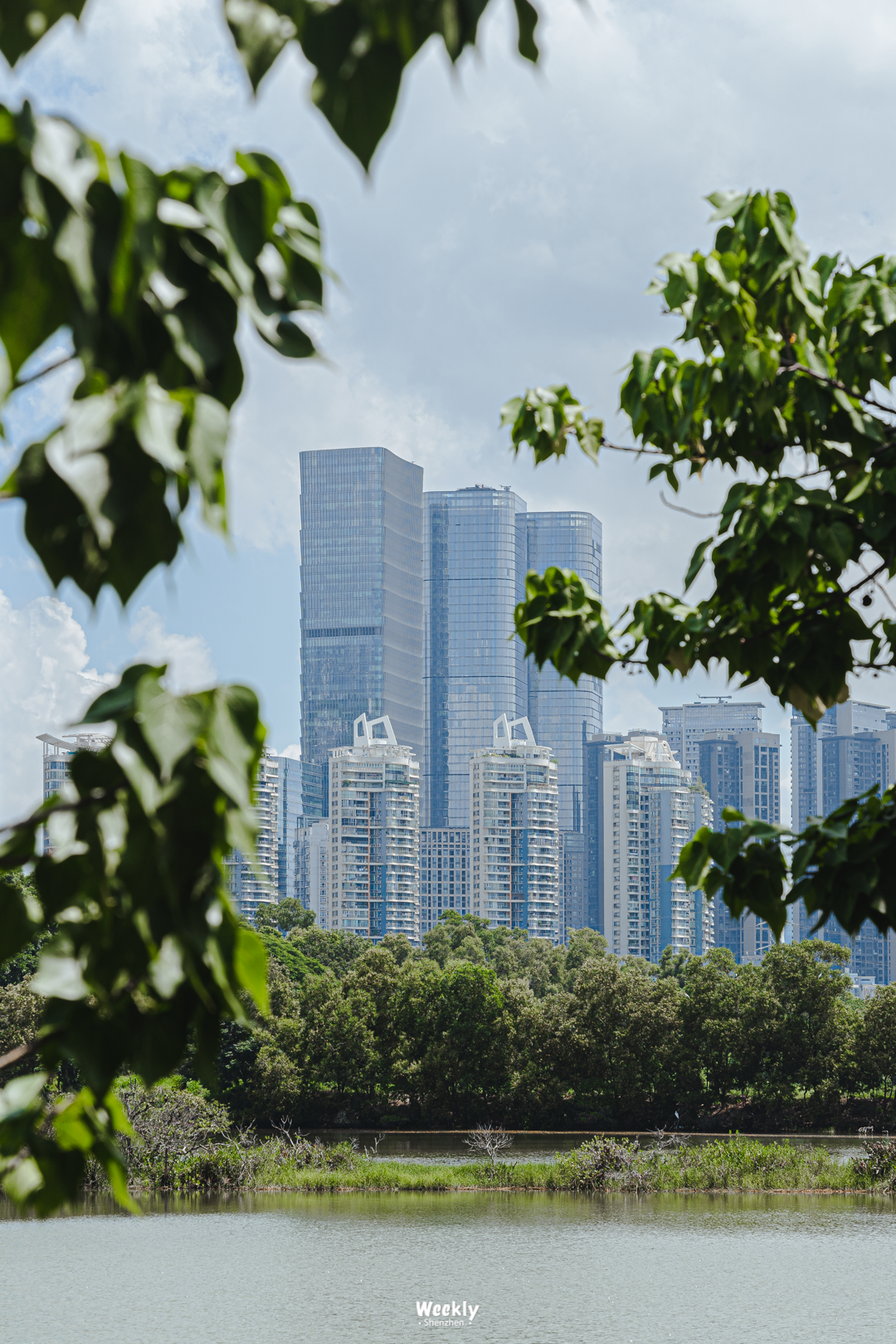 女大學生成中介銷冠:賣出上億豪宅_中介賣豪宅提成_豪宅買賣中介