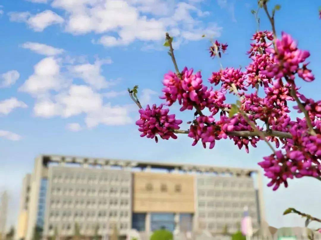 陜西省本科學校排名_陜西省三本院校_陜西省各大院校