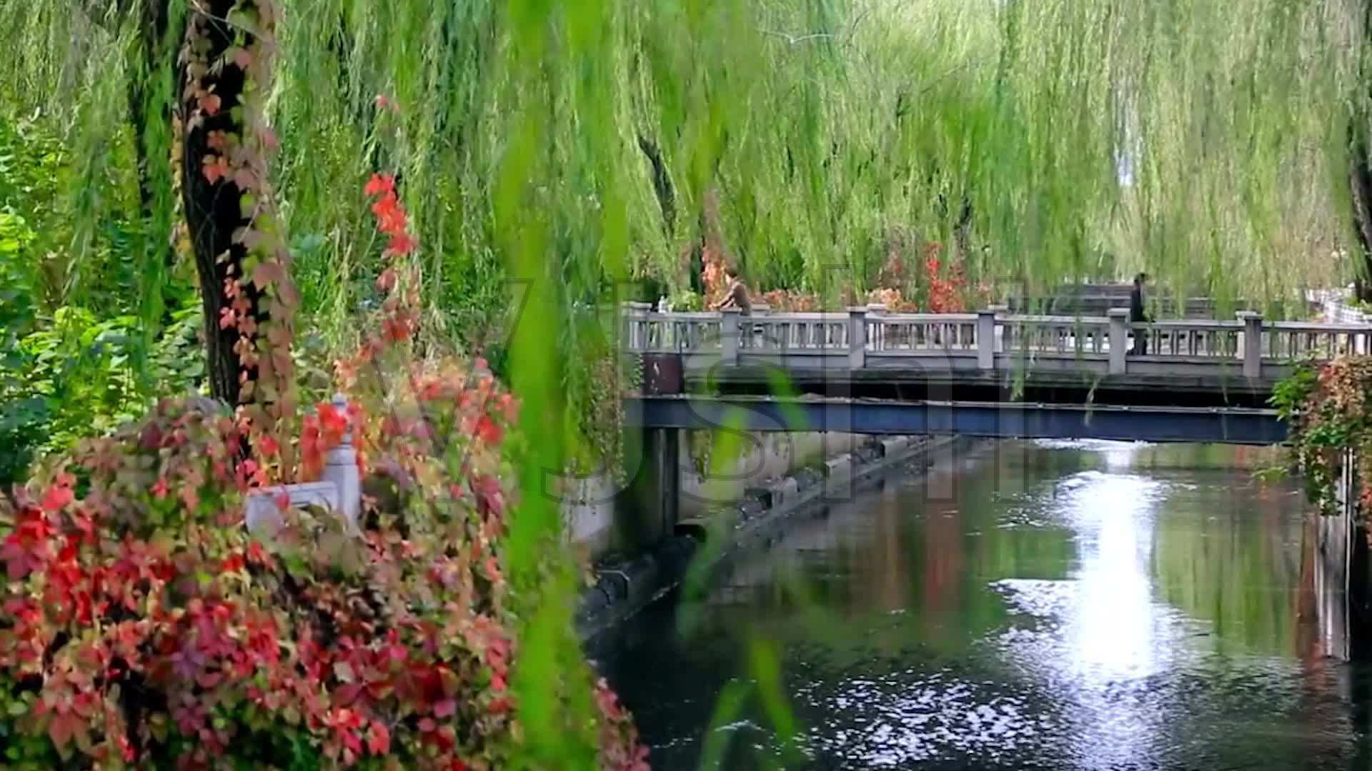 珠海理工多少分_2024年北京理工大學珠海分院錄取分數線（2024各省份錄取分數線及位次排名）_珠海理工大學分數線是多少