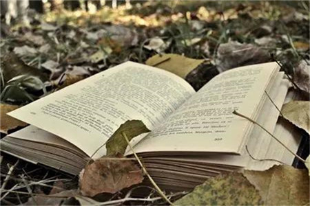 廣東自考專業(yè)科目一覽表？