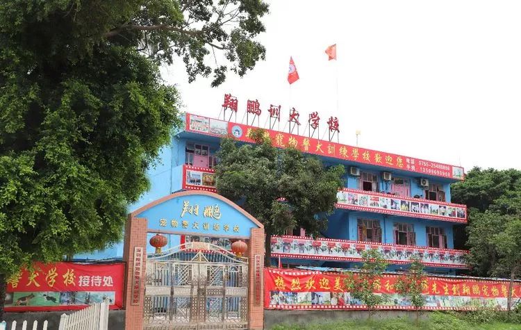 重慶銀利寵物美容學校_重慶寵物美容培訓學校排名_重慶銀利寵物學校學費