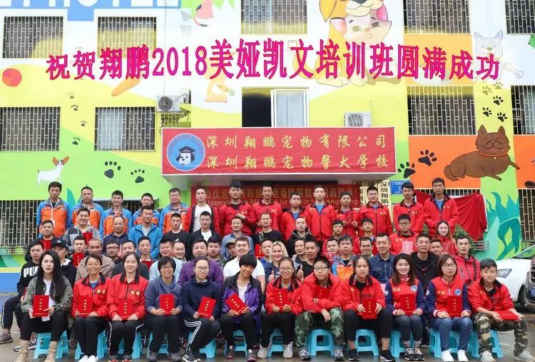 重慶銀利寵物美容學校_重慶寵物美容培訓學校排名_重慶銀利寵物學校學費