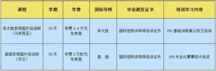 重慶銀利寵物美容學校_重慶銀利寵物學校學費_重慶寵物美容培訓學校排名