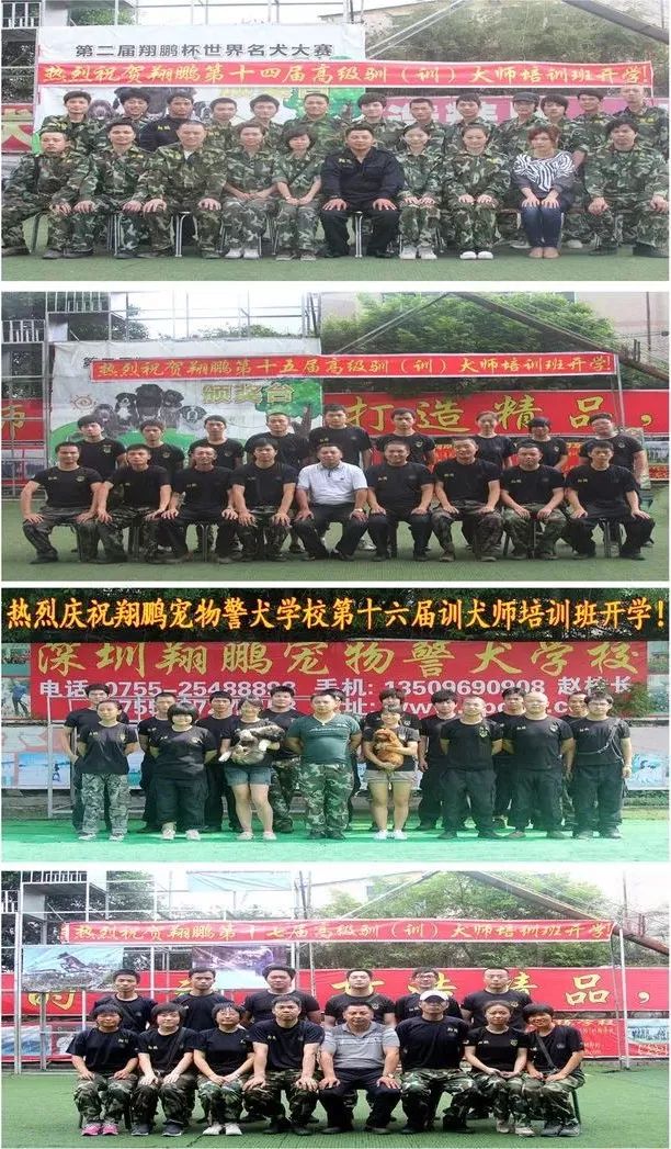 重慶銀利寵物學校學費_重慶寵物美容培訓學校排名_重慶銀利寵物美容學校