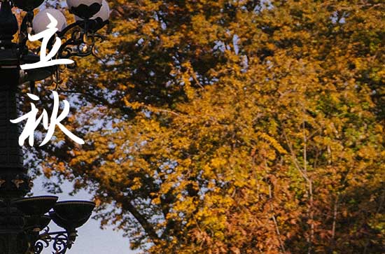 2024年什么時候立秋 今天日子好不好