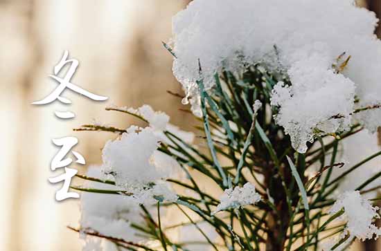 2024年冬至農歷時間 2024年冬至弄買貓好不好