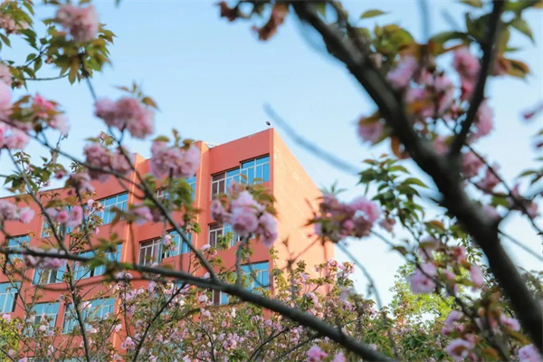 武漢城市職業學院分數線_江西應用工程職業學院招生信息_江西應用工程職業學院高職單招