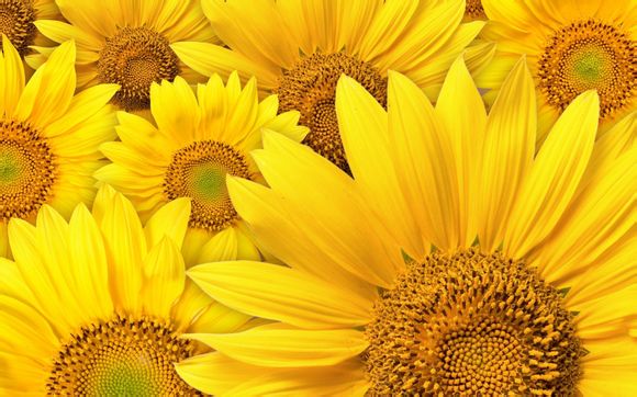 10月江西自考準考證在什么時間內打印?