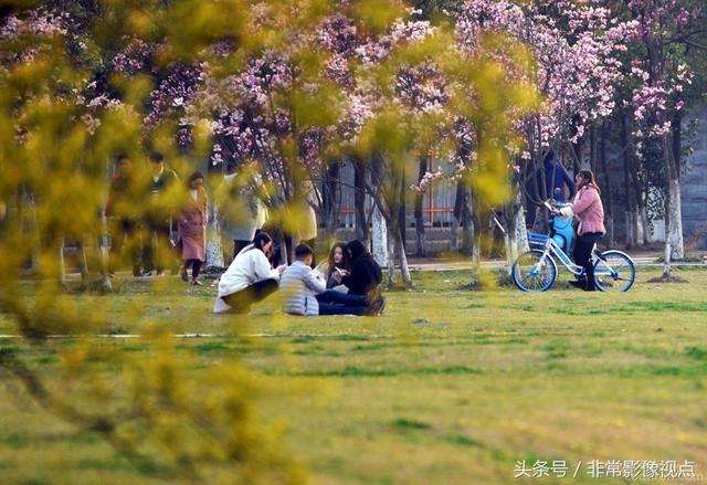 皖西學(xué)院是幾本院校？在安徽排名怎么樣？最好的專業(yè)是什么？