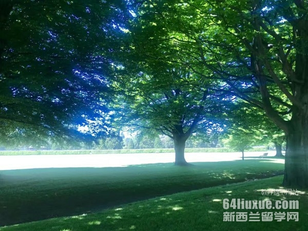 留學新西蘭大學的條件