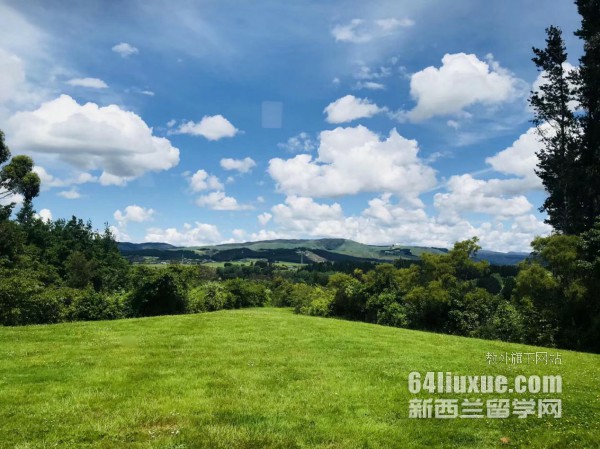 新西蘭音樂學(xué)專業(yè)好就業(yè)嗎