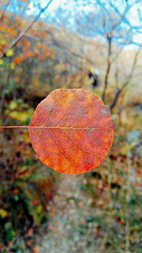 微信圖片_20190109174015