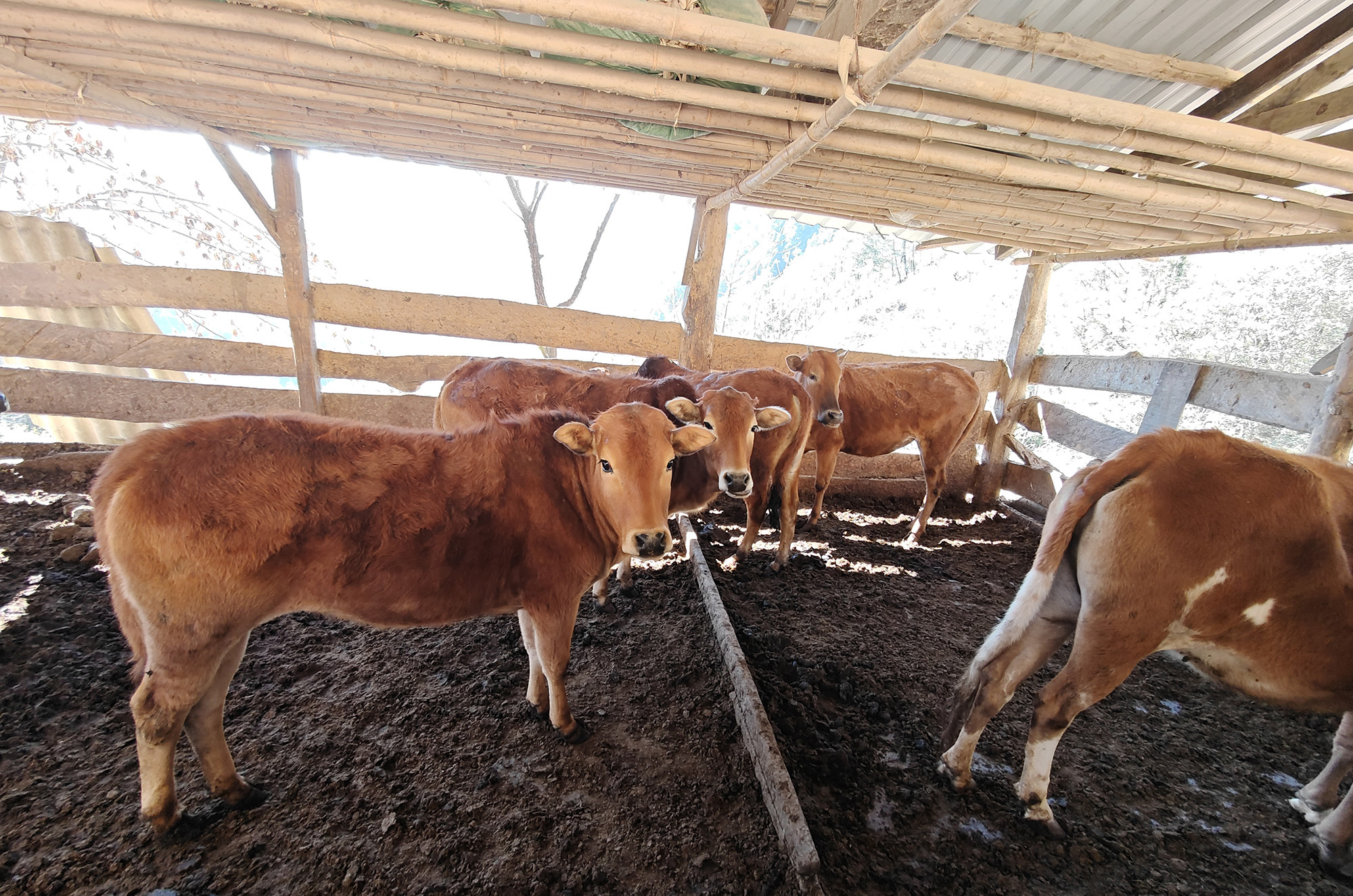 幸福列車4人小品_追夢人幸福超市_幸福的人