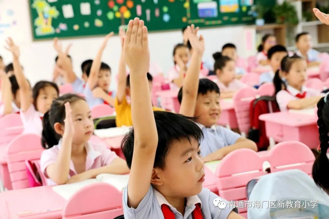 櫸樹(shù)林教師成長(zhǎng)營(yíng)_新教育小學(xué)青年教師成長(zhǎng)營(yíng)_小學(xué)教師自我評(píng)價(jià)