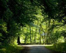 貴州高考一本線多少分(貴州省一本線多少分2023年)