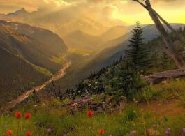 連云港教育招生考試信息網(2023年4月江蘇連云港自考成績查詢入口)