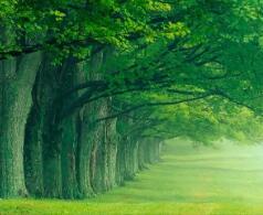 2021湖南高考文科分數線(2021年湖南本科分數線)