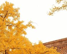 高中英語口語考試有什么用(高考英語口語有必要考嗎)