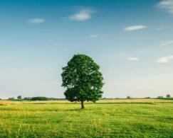 專升本成績怎么算總分(河北專升本成績計算方法)